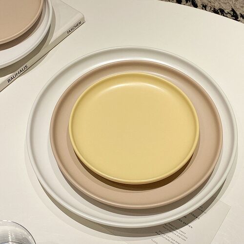 10  Matte Ceramic Plate Solid Color Pizza Dish