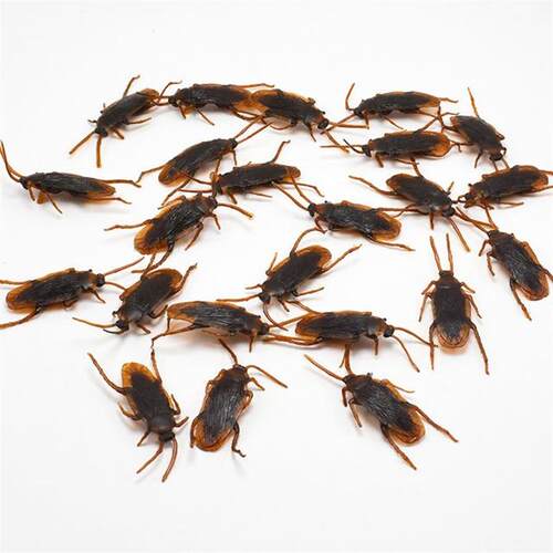 April Fools Day pranks, gifts, tricky props, fake cockroach