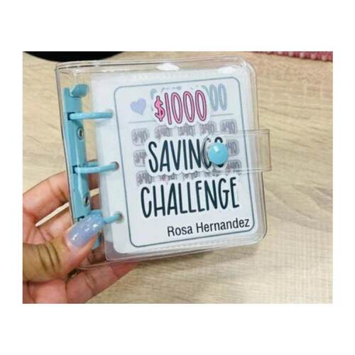 Mini Binder Savings Challenge budget planner money organizer