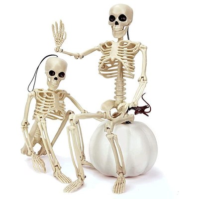 Halloween skeleton 60cm artificial human plastic skeleton