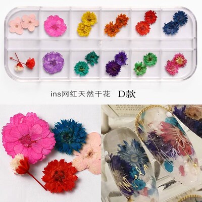 12 Colors Real Dried Flowers 3D Nail Art Decors Design DIY