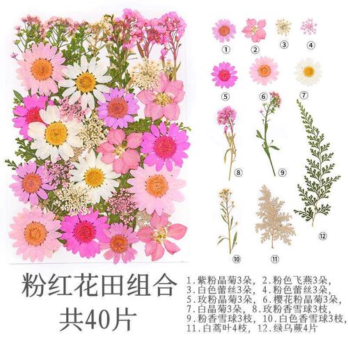 DIY Dried Flowers Resin Mold Fillings UV Expoxy Flower for