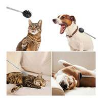Cactus Scratcher Back Scratcher On A Big Stick, Retractable thumbnail 8
