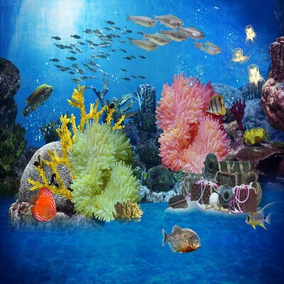 8x8FT Under Sea Treasures Box Bed Fish Corals Music Party Gi