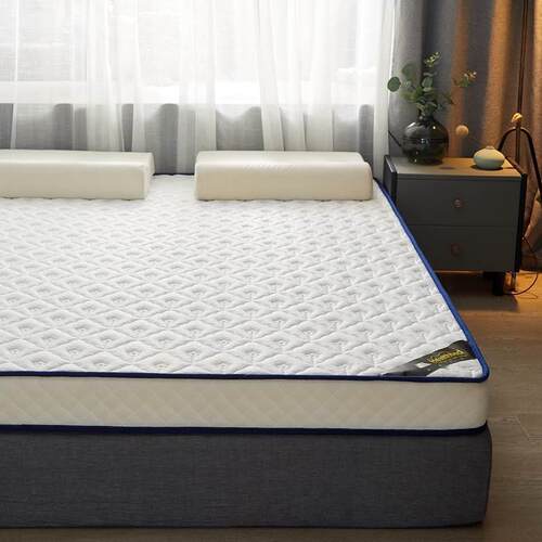 10cm memory foam sponge latex mattress topper pad sofe 床垫