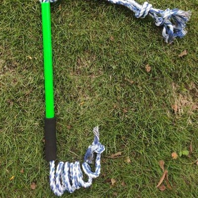 Dog Training Toy Interactive for Chase for Indoor Dogs
