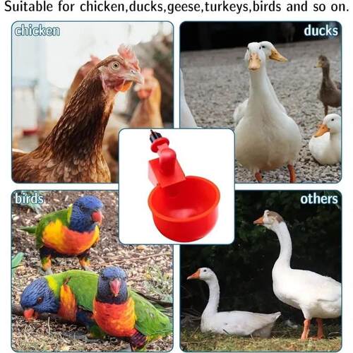 10/20/30Pcs Chicken Waterer Cups Chicken Feeder Cup for Chic