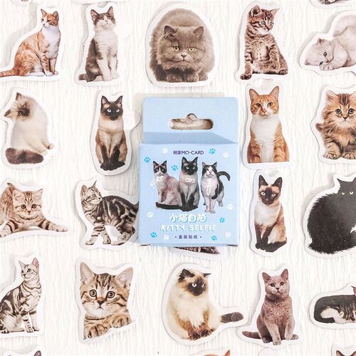 45ps Cute Cat Selfie Deorative Box ers Srapbooking Material