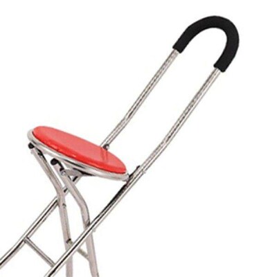 Walking Stick Chair Combo Height Adjust Stainless Steel
