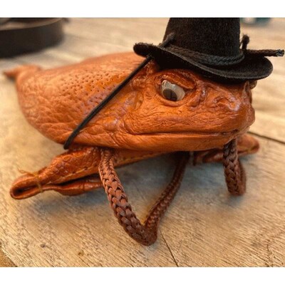 Sugar Cane Toad full-body purse 2022蟾蜍蛤蟆全身钱包外贸跨境