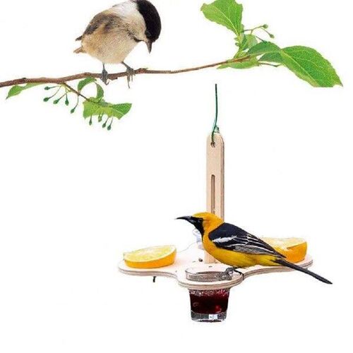 Lightweight Bird Feeder Wooden Hanging Bird Feeder with 4