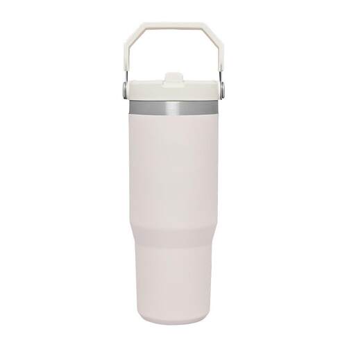 Stainless Steel Tumbler Straw Cup Ice Coffee Water Bottle