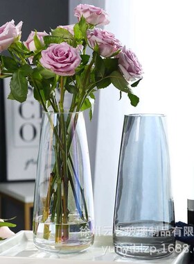 Nordic Ins Style Simple Fantasy Glass Vase Hydroponic Flower