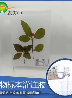 超清高透植物标本灌注SY-888AB环氧树脂胶工艺品高透明硬假水
