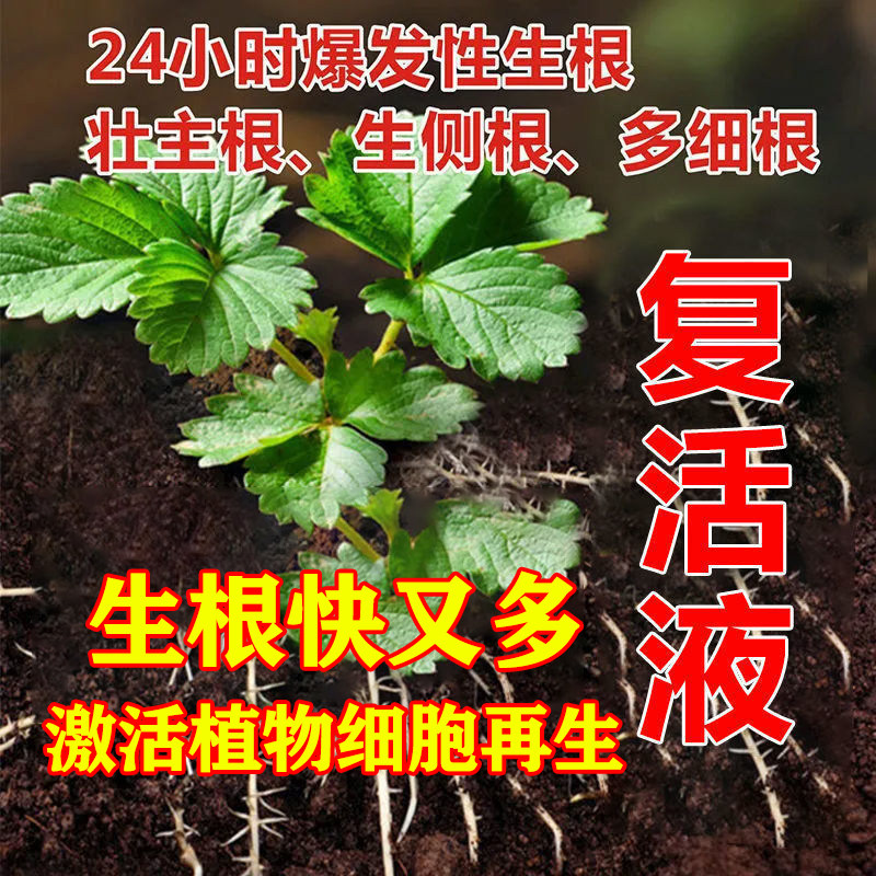 大树复活灵枯树再生液复活营养液提高移栽成活率改善树木充分激活