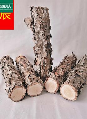 木铁桦树桦木原木铁桦原木装饰树隔断橱窗隔断湿木料