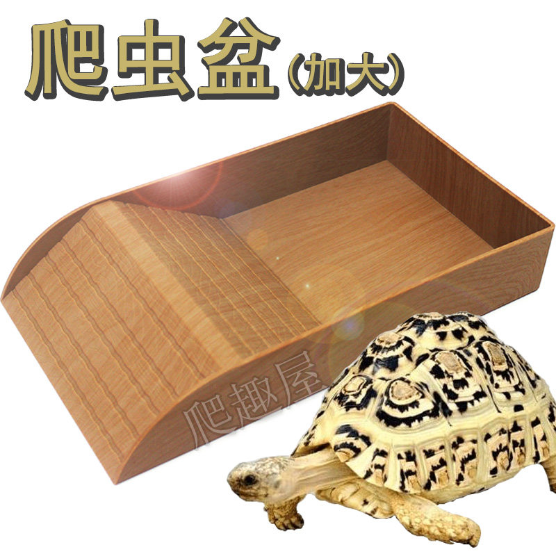 陆龟泡澡盆黄缘半水龟水陆箱食盆爬虫水盆宠物喝水喂食盆加大特大