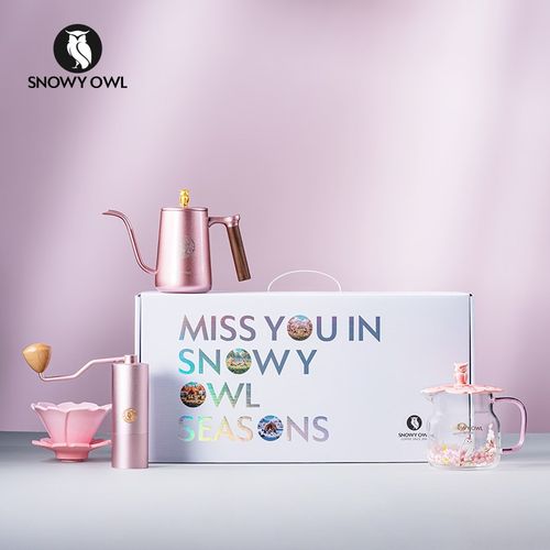 雪昂手冲咖啡套装礼盒 手冲壶v60玻璃滤杯挂耳壶咖啡滴滤套装粉色