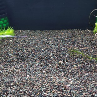 天然鱼缸底砂雷龙专用雨林沙鼠鱼虾虎用沙子南美热带鱼造景水草缸