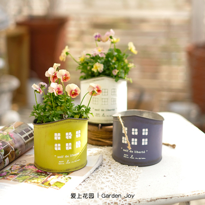 爱上花园园艺杂货 铁艺做旧花盒 铁皮小房子花盆soif de liberte