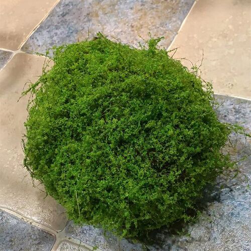 仿真青苔球 绿植球 植毛工艺艺术布景装饰
