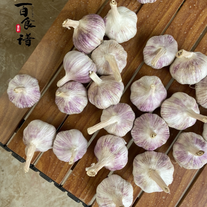【百食谱干蒜】河南干蒜河南新鲜大蒜