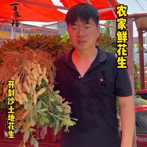 农家沙土饱满带壳新鲜花生