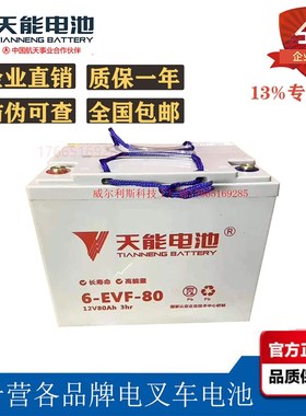 天能6-EVF-80-83 12V80AH GFM85中力小金刚 电动叉车 堆高车电池