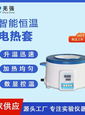 智能恒温电热套实验室智能调温恒温加热套ZNHW调温控温电热套