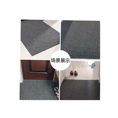 Floor Mat Entrance Doormat Floor Rug Anti-slip Door Mat