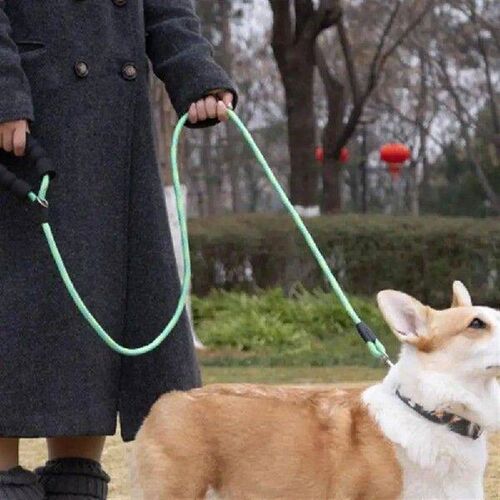 Strong Dog Leashes Pet Leashes Wear-resistant For Medium