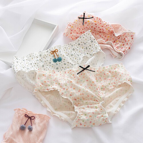 Ladies Comfortable Cotton Underwear Underwear Hollow Mesh Pa