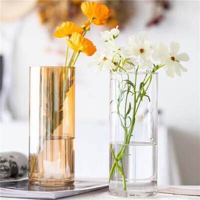 Nordic Ins-style Simple Glass Vase Hydroponic Flowers Flower