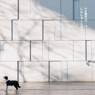 Pet Leash 多功能宠物牵引器 一键自动伸缩系统 LED夜间照明