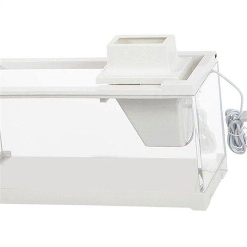 Fish Tank Small for A Variety of Tropical Fish Clear with