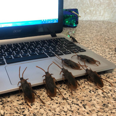 5pcs  Halloween Decoration Props Gadget Plastic Cockroaches