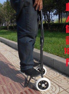 grocery shopping cart portable trolley car luggage