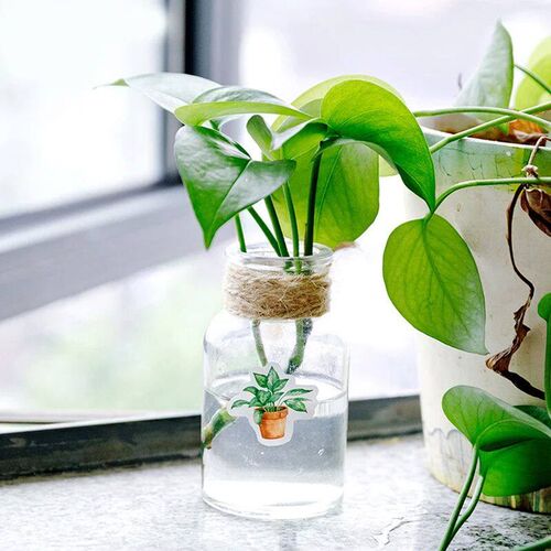 45 Pcs/pack Green Potted Plant Decorative Washi ers Scrapboo