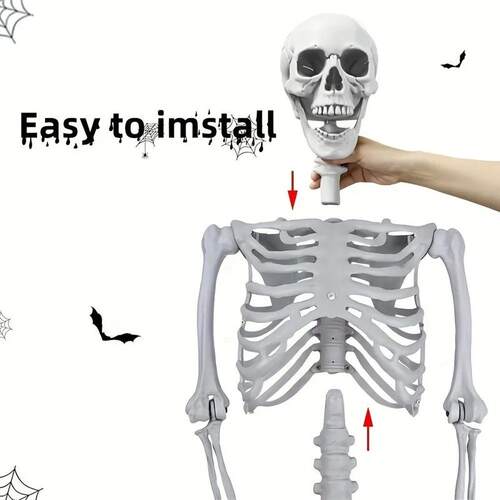 5.4ft 165cm Halloween Realistic Full Body Skeleton Life Size