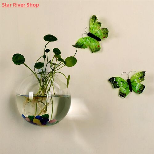 Transparent Glass Vase Wall Hanging Hydroponic Terrarium Fis