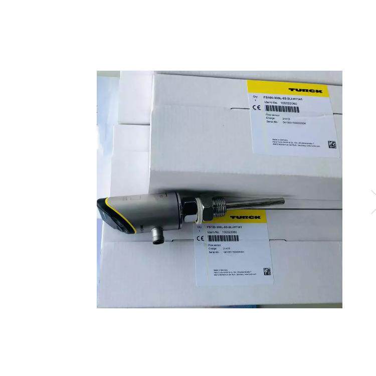 TURCK图尔克流量开关FS100-300L-62-2UPN8-H1141
