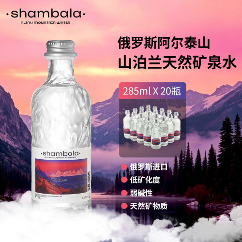 俄罗斯山泊兰无气天然矿泉水20瓶