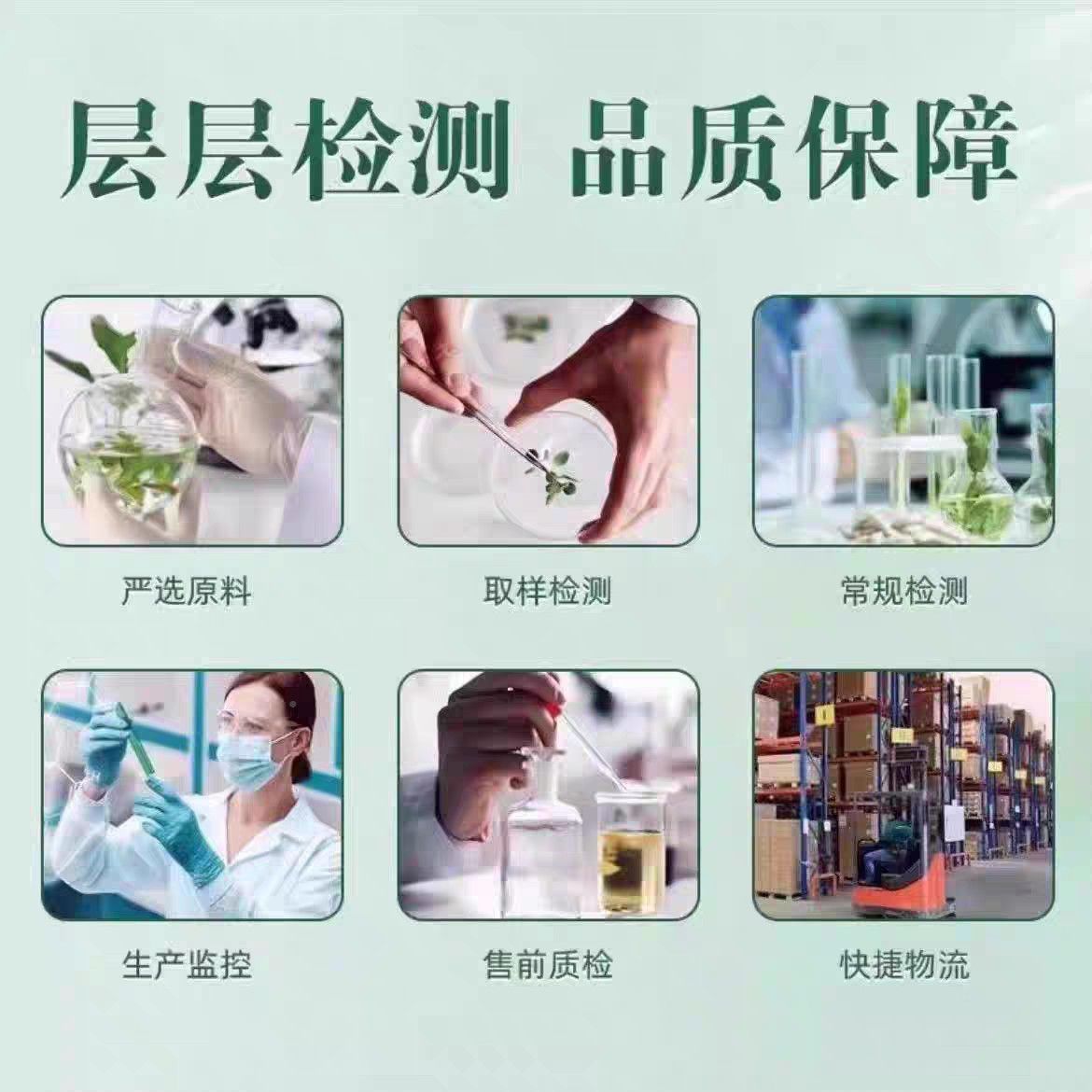 【官正品宝】卡舒安灵芝茶SGI氨酸情解焦虑菲呵方护睡眠绪旗舰店