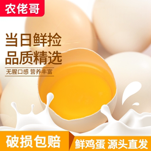 正宗农家散养鸡蛋新鲜土鸡蛋营养虫草谷物孕妇整箱批发正宗土鸡蛋