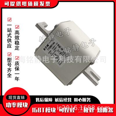 170M6142 170M6143 170M6144 170M6145 170M6146巴斯曼熔断器