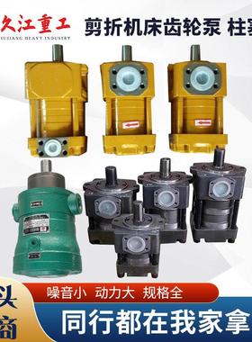 上海内啮合齿轮泵NBZ5-G80FG100F剪板机折弯机配件轴向柱塞泵大全
