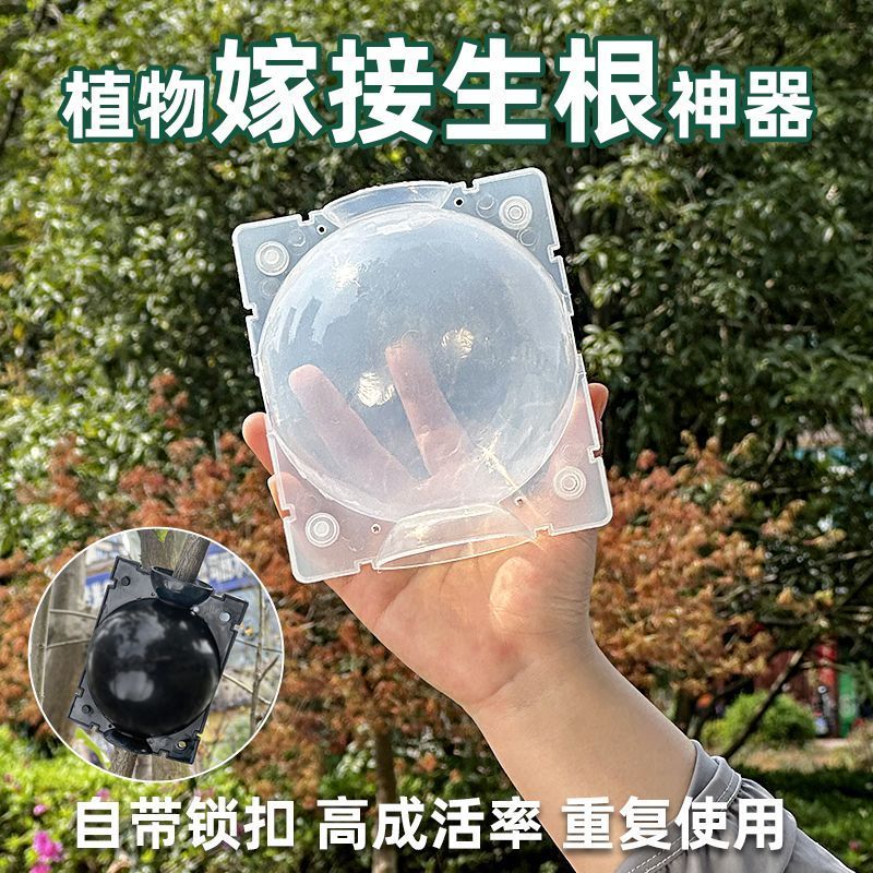 植物高压嫁接繁殖盒扦插果树枝条育苗器花木嫁接移栽神器家用月季