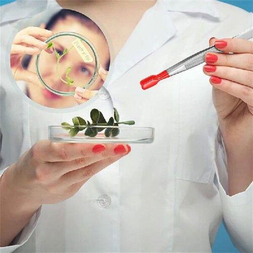 HOT 3 Pieces Tweezers with Rubber Tips Tweezers PVC Coated