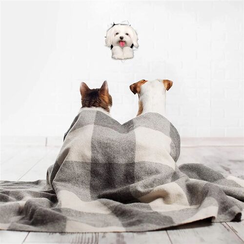 Three Ratels 1057 Lovely 3D animal stickers Lion dog Jiwa Te