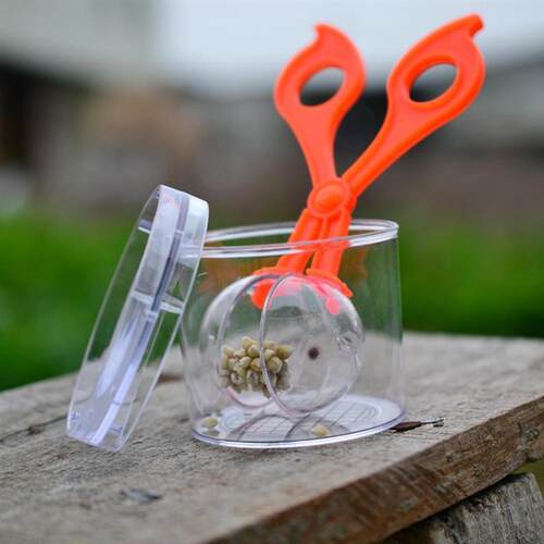 1pcs Outdoor Toys Plant Insect Biology Study Tool Set Plasti